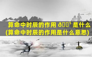算命中时辰的作用 🌹 是什么(算命中时辰的作用是什么意思)